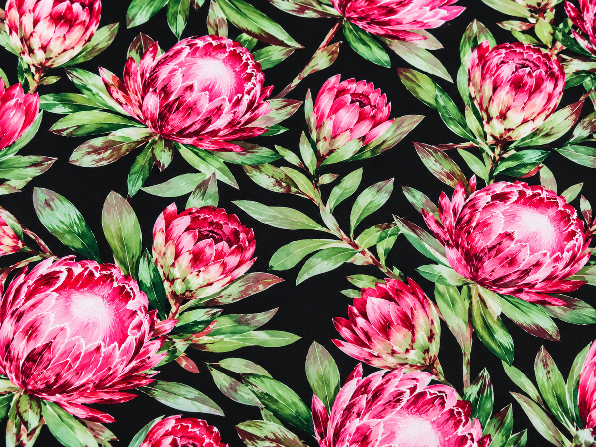 Protea Prag